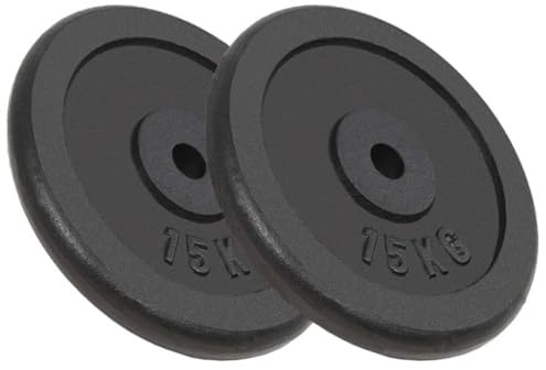 Home Outdoor Sonstige Hantelscheiben 2 Stück 2x15 kg Gusseisen