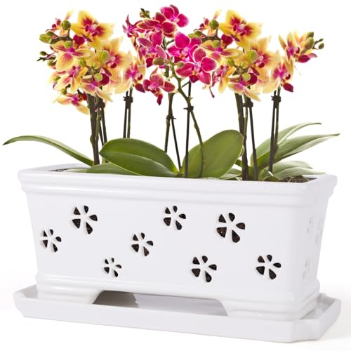 Maceta para orquídeas con agujeros y platillo para trasplantar color blanco, 30 x 16 x 14 cm, cerámica grande, para rellenar macetas de orquídeas para uso en interiores y exteriores, máquina de