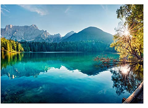 WallArena Vlies Fototapete, Natur, 368x254cm | Fototapeten - Tapeten - für Wohnzimmer Schlafzimmer - Vliestapete Wandtapete Tapete 3D Effekt- inkl. Kleister