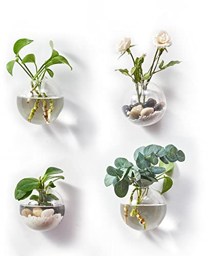 BlogBlog Wandbehang Pflanzgefäße Terrarium Glas Luft Pflanze Halter Töpfe für Pflanzen