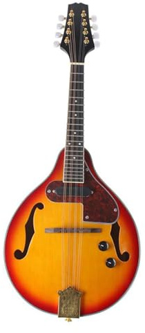 Professional Mandoline Instrument Electric Box Mandolin 8-string Electric Mandolin Folk Instrument Electric Mandolin Mandola