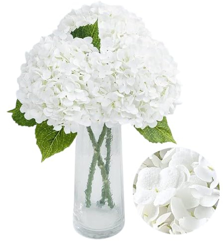 Ramo de Hortensias Blancas Naturales con 10 Flores de Temporada Hydrangea Color Blanco