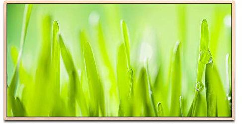 Grass ca. 130x70cm Wandbild inklusive Schattenfugenrahmen naturfarbend - Panorama Leinwand Bild XXL Format Wandbilder Wohnzimmer Wohnung Deko Kunstdrucke
