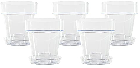 Kalapanta 5 transparente Plastiktöpfe für Orchideen mit Entwässerungslöchern und 5 Untersetzers (5, Ø 16 cm)
