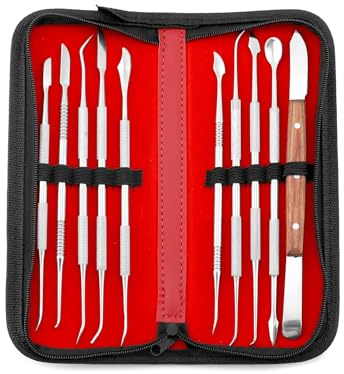 QWORK 10 PCS Wax Carving Tools Dental Waxing Instruments with Case, Stainless Steel Wax Carvers Set - Metal Clay Sculpting Pottery Sculpture Tools - Double Ended DIY Waxing Modeling Kits