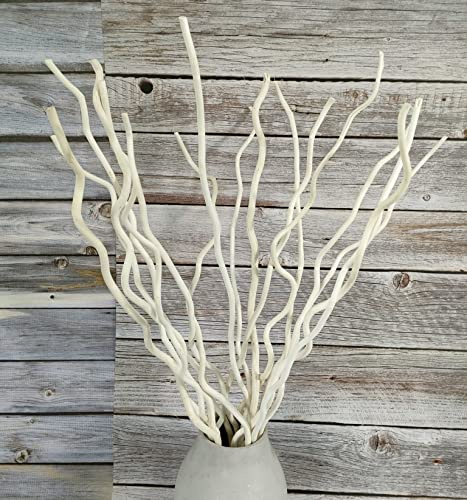 DongArts 58 cm Getrocknete Weidenzweige, 15 Stämme Getrocknete Zweige Holzstöcke, Natürliche getrocknete Pflanzen Dekorative Zweige für Weihnachten Rustikale Heimdeko (Weiß)