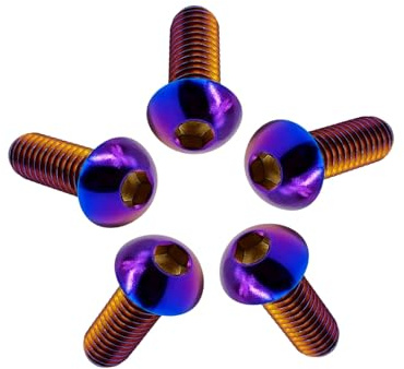 RISON 5 Stück Titan Linsenkopfschrauben mit Innensechskant M6x10mm, Vollgewinde Halbrundkopfschraube aus Titan GR5, Flachkopfschraube Linsenschraube Knopfschraube Rundkopf Schrauben