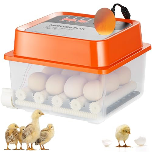 VEVOR Brutmaschine für Eier, automatisch, Inkubator für Bruteier, automatische Umdrehung, 12 Eier, mit Temperatur- und Feuchtigkeitskontrolle, transparente Basis zum Ausschlüpfen von Hühnereiern,