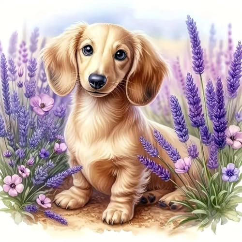 Acudotr Hund Diamond Art Erwachsene Set, DIY Wohndekoration 30x30cm | 5D DIY Diamantmalerei Sets, Runde Vollbohrer, Einfach für Anfänger, Vollständiges Zubehörset, Geeignet als Geschenk