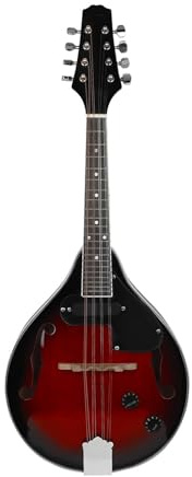 mandolin instrument Professional musical instrument eight string electric mandolin