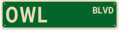 Eule BLVD Straßenschild, Eulenschild, Eulen-Dekor, Eulenliebhaber, Geschenk, lustige Wanddekoration für Zuhause/Bauernhaus/Männerhöhle, hochwertige Metallschilder, 40,6 x 10,2 cm