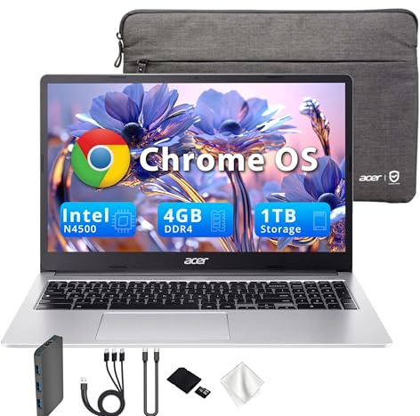 Acer Chromebook 315 15,6 FHD Laptop, Intel Celeron N4500, 4GB LPDDR4 RAM, 1TB di storage (64GB eMMC & 1TB Docking Station Set), Intel UHD Graphics, tastierino numerico, webcam HD, argento, Chrome OS