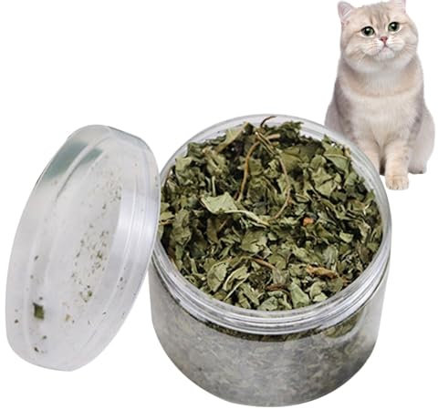 Getrocknete Katzenminze - Echte Natürliche Katzenminze | Getrocknete Katzenminze Pflanze | Zahnreinigung Katzenminze | Natürliche Katzenminze Mischung | Entspannende Katzenminze Leckereien für Katzen