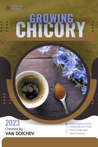 Chicory: Guide and overview
