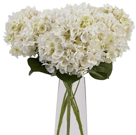 Bouquet de Hydrangea Blanco Hortensia con 10 Flores Aromáticas y Frescas