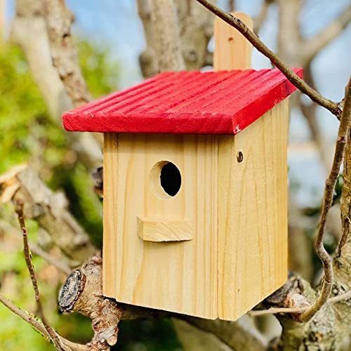 DARLUX Nistkasten Mit Flachdach, Holz-Brutstätte Für Singvögel In Natur/Rot