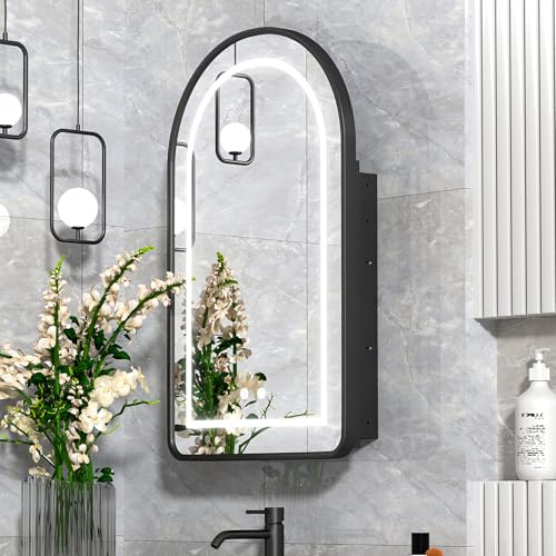 Mepplzian Arched Medicine Cabinet with Light, Lighted Led Medicine Cabinet Mirror for Bathroom, Aluminum Framed Arch Cabinet Defogger, Black, 20''x31''