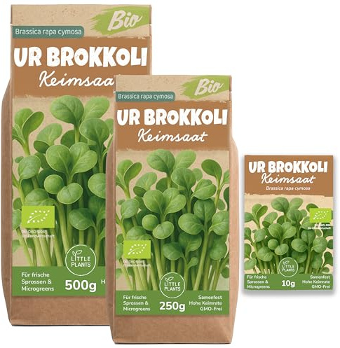 Little Plants Bio UR-Brokkoli Sprossensamen, 250g | Sprossen & Microgreens zum Selberziehen – für Keimglas, Keimschale und Sprossenturm – zuverlässig keimend – schnelle Ernte