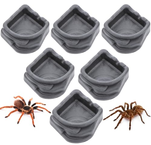 6 Pcs Spider Micro Water Bowl, Small Resin Dish for Tarantula Hermit Crab Spider Millipede Tiny Reptile (Medium: 1.65 D, 0.59 H)