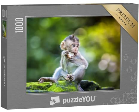 puzzleYOU: Puzzle 1000 Teile „Kleiner Baby-AFFE, Affenwald von Ubud, Bali, Indonesien“ – aus der Puzzle-Kollektion Affen, Tiere in Dschungel & Regenwald