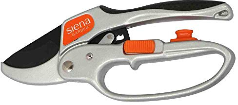 Siena Garden Ratschenschere, Gartenschere, Blumenschere, Rosenschere, silber, 20,5x8x2,3cm, 557309