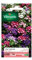 Vilmorin - Sachet graines Verveine Brio variée