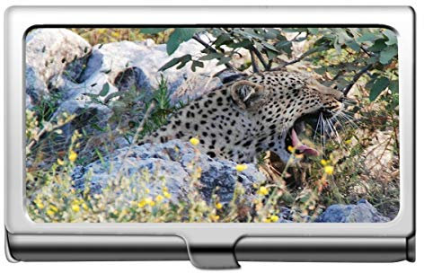 Professionelle Visitenkartenetui Edelstahl, Leopard Leopard Business Kreditkartenetui