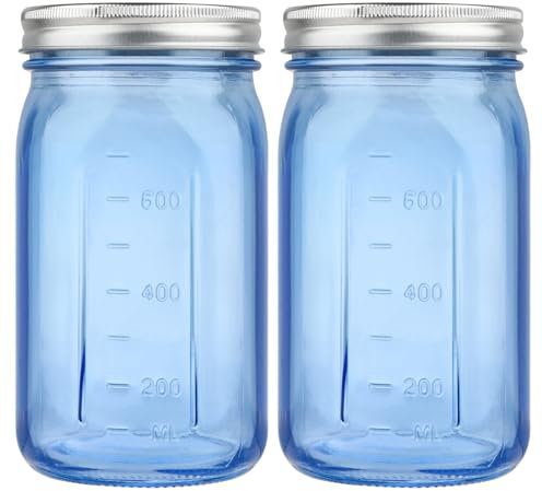 CARBLIN 2 Pack Mason Jars 32 oz, Blue Wide Mouth Canning Jars with Airtight Lids, Glass Pint Jars with Bands Labels Brush, Large Storage Quart Jars for Jam Fermenting Preserving