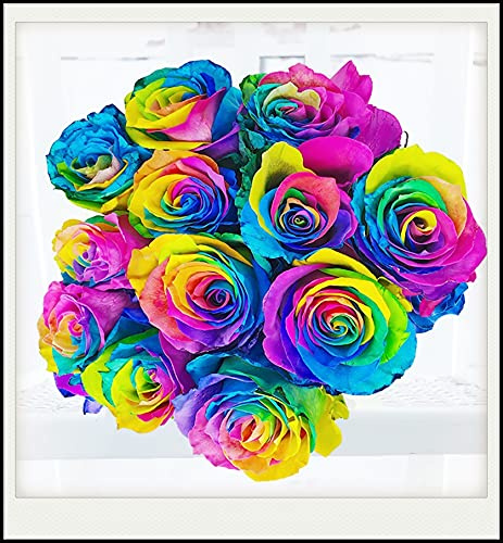 Stauden, Lebende Pflanzen, Hausgarten, Winterhart Pflanzen, Blumenzwiebel Mix, MysteriöSe Magische GlüHbirne, Rosen Zwiebeln, Seltene Pflanze, MehrjäHrige, Exotisch,-1zwiebeln-I