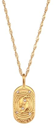 SPARKLAURA Gold Pisces Zodiac Tarot Card Dog Tag Charm Necklace 18K Gold Plated Retro 12 Constellation Pendant Necklaces Trendy Astrology Horoscope Unisex Personalized Jewelry Birthday Gift