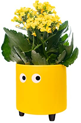 Fisura - Originale vaso da fiori con design a occhio. Vasi da giardino moderno decorativo. Vaso a gambe per cactus. Vaso in ceramica per fiori e piante grasse. 13 x 12,5 cm. (Giallo)