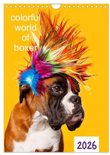 colorful world of boxer 2026 (Wandkalender 2026 DIN A4 hoch), CALVENDO Monatskalender: Jahreskalender 2015 Boxer (CALVENDO Tiere)