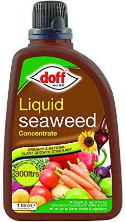 doff CONCENTRATED LIQUID SEAWEED 1L, Green
