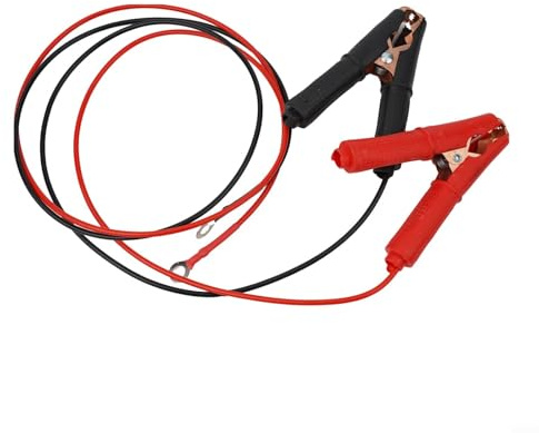 Lot de 2 fusibles de batterie 30 A pour câble de voiture – 60 cm/100 cm rouge + fil de cuivre recouvert de PVC noir pour Termi étamé (1 m)