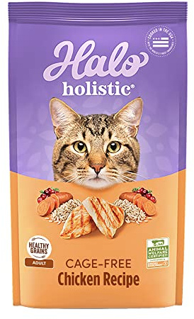 Halo Holistic Cage Free Chicken Cat Food, Healthy Grains Dry Cat Food, Complete Digestive Health, Kibble for Adult Cats, 10 lb Bag