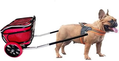 Chariot de traction pour chien avec laisse – Chariot amovible de grande capacité pour chiens de taille moyenne et petite, idéal pour transporter des marchandises