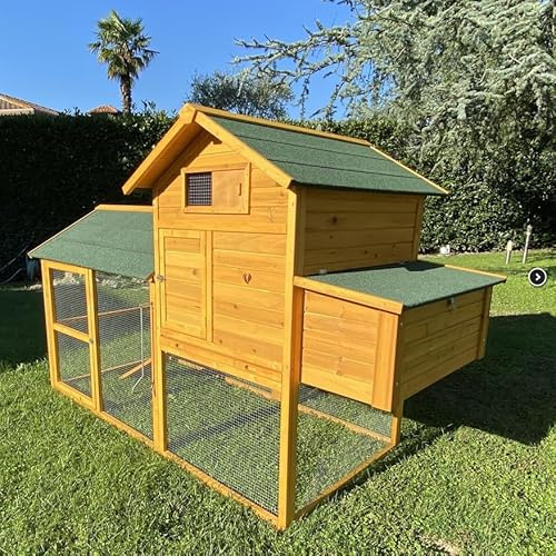 Pollaio Prefabbricato In Legno Padovana XXL | Con Tetto Bituminato