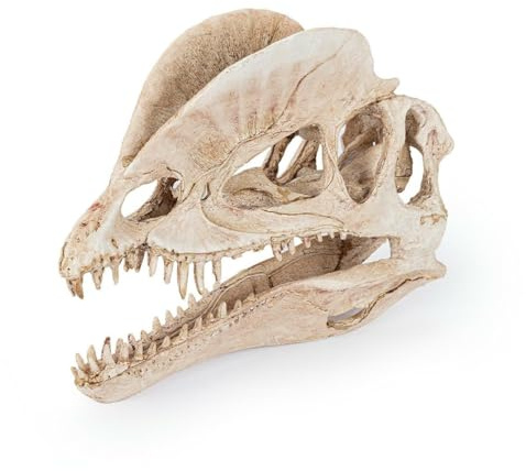 Happet Realistische Dinosaurier Totenkopf Deko für Terrarium & Aquarium 19x6x13cm, Prähistorische Dekoration Versteck für Fische & Reptilien aus Harz, Dino Schädel Ornament Süßwasser & Salzwasser