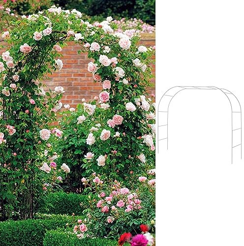 Arche de Jardin Arcs Ronds Tonnelles/treillis Support Cercle For Grandes Plantes Grimpantes/légumes/fruits, Arche En Métal Argenté For Rustique Boho Japonais Extérieur/terrasse, Cadre D'arche ( Color