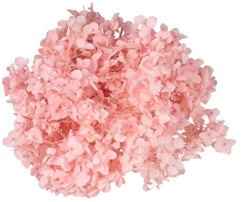 VICASKY 1 Confezione Fiori Secchi Naturali per Decorazioni Diy Ortensia Conservati da Rosa per Matrimoni Feste e Unica per Nail Art