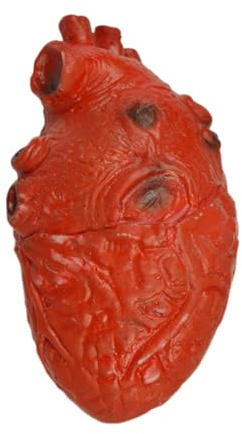 Bloody Heart - Batter Heart Spooky | Accessoires D'Halloween En Tissu | Faux Décorations De Maison Hantées De Cœur | Sculpture Réaliste Effrayante | Cœur Réaliste Pour La Maison De Fête D'Halloween Ho