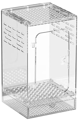 Recinzione in acrilico per ragni che saltano, habitat ventilato, terrario per piccoli animali, gabbia trasparente per mantide, lucertola, grilli, scorpioni, coleotteri, rettili, granchi