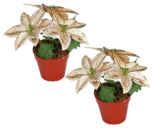 Marooma 2er-Pack Eingetopfte Weihnachtssterne, Künstliche Weihnachtsblumen, Rote Weihnachtssterne, Pflanzenarrangement, Künstliche Weihnachtssterne, Pflanzen Im Topf für Drinnen