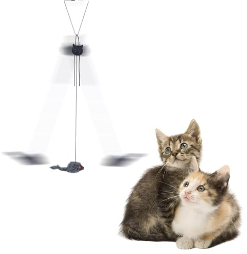 Katzenspielzeug – Türhängendes Katzenspielzeug, interaktives Jagdspielzeug Katzen | elastische Schnur, Hüpfspielzeug, halten Sie Ihre Katze unterhalten und Katze und Übungsspielzeug für