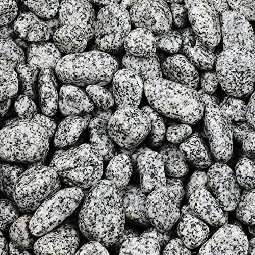 Kieselsteine Garten Zierkies 25-40 mm 25 kg Aquarium Kies Grau Gletscherkies Dekostein Saunastein Gabion Steinteppich Zierstein