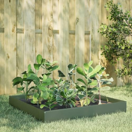 QJBSAVVA Fioriera Rialzata Grande da Giardino Esterno in Acciaio Verde Oliva 100x100x26 cm per Orto Piante Fiori Erbe Aromatiche
