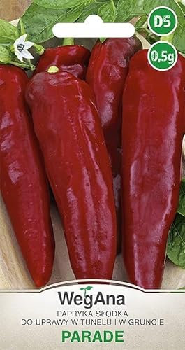 WegAna Semillas de Pimiento Dulce Rojo Desfile 0,5g Semillas de Hortalizas Robustas Semillas de Cultivo para Invernadero Semillas de Pimiento Dulce