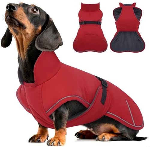 Hjyokuso Hundemantel Dackel, Winddichter Wasserdichter Wintermantel Für Dackel Hunde, Hundejacke Für Große Hunde, Hundemantel Winter Mit Bauchschutz Und Leinenloch, Winterjacken Für Hunde - Rot