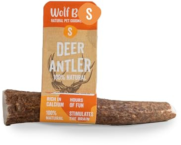 Wolf Belly - Corno di Cervo per Cani (Taglia S) | Masticativi Naturali e Resistenti | Riduce Tartaro e Placca | Ricco di Calcio e Proteine | Allevia Stress e Ansia - Prodotto in Europa
