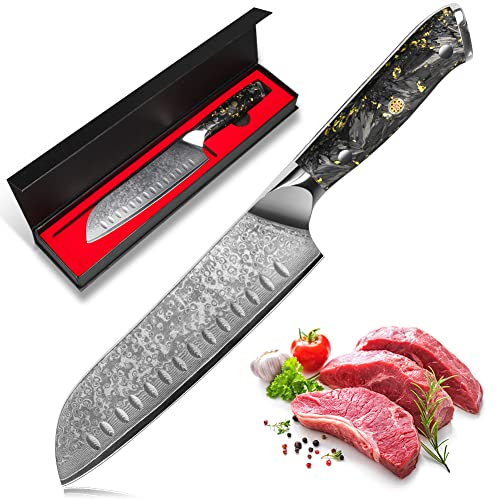 kyushublade Santoku Knife, 7 inch Damascus Kitchen Knife, Professional Kitchen Knives Made of 67 Layers Vg10 Steel Chef's Knives with Resin Handle for Home, Restaurant